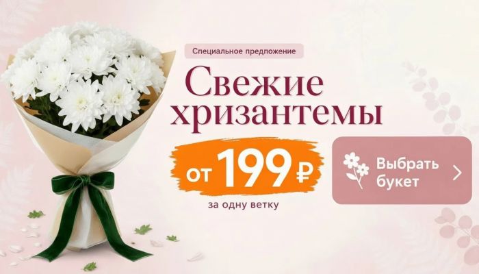 Хризантемы от 199  руб.